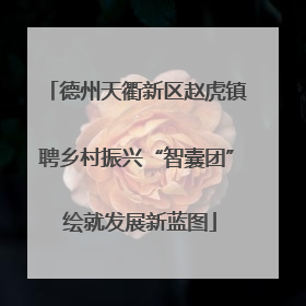 德州天衢新区赵虎镇聘乡村振兴“智囊团” 绘就发展新蓝图