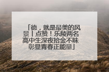 德，就是最美的风景丨点赞！乐陵两名高中生深夜拾金不昧 彰显青春正能量