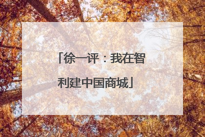 徐一评：我在智利建中国商城