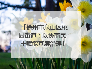 徐州市泉山区桃园街道：以协商民主赋能基层治理