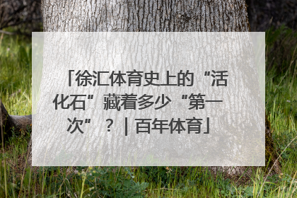 徐汇体育史上的“活化石”藏着多少“第一次”？｜百年体育