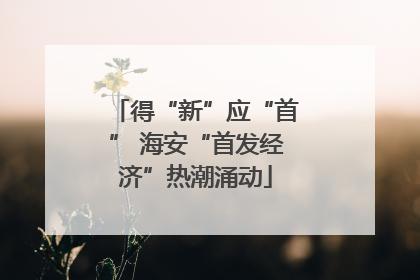 得“新”应“首” 海安“首发经济”热潮涌动