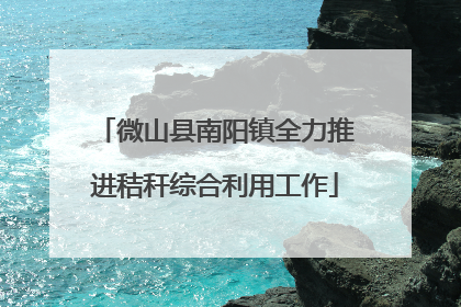 微山县南阳镇全力推进秸秆综合利用工作