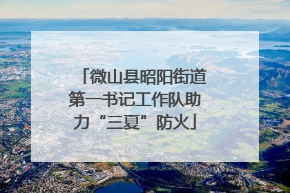 微山县昭阳街道第一书记工作队助力“三夏”防火