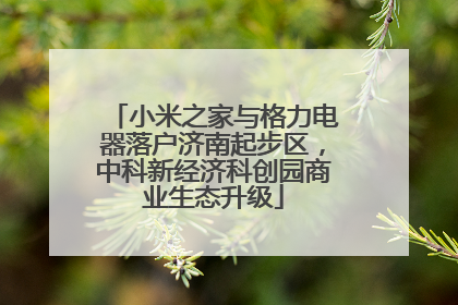小米之家与格力电器落户济南起步区，中科新经济科创园商业生态升级