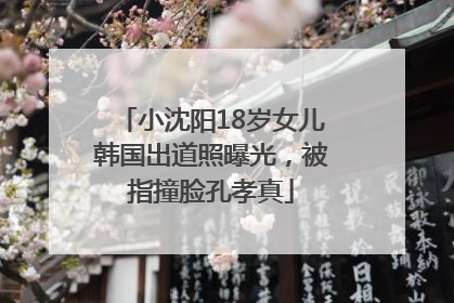 小沈阳18岁女儿韩国出道照曝光，被指撞脸孔孝真