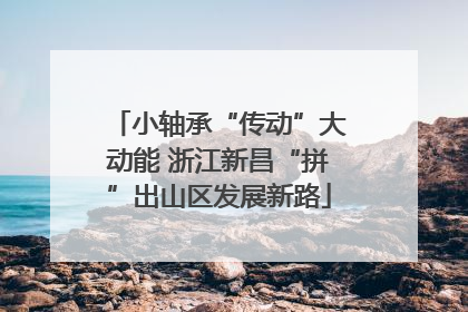 小轴承“传动”大动能 浙江新昌“拼”出山区发展新路