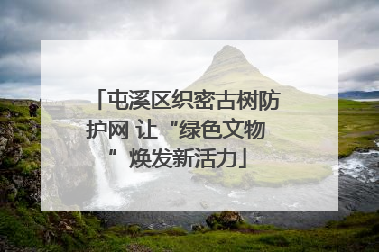 屯溪区织密古树防护网 让“绿色文物”焕发新活力