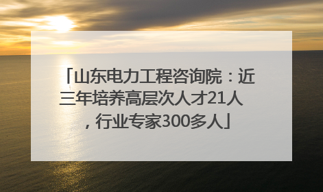 山东电力工程咨询院：近三年培养高层次人才21人，行业专家300多人