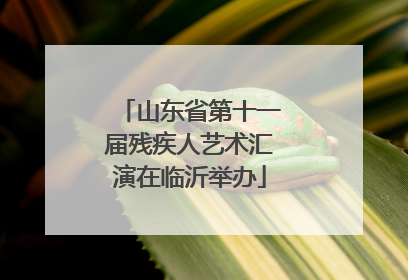 山东省第十一届残疾人艺术汇演在临沂举办
