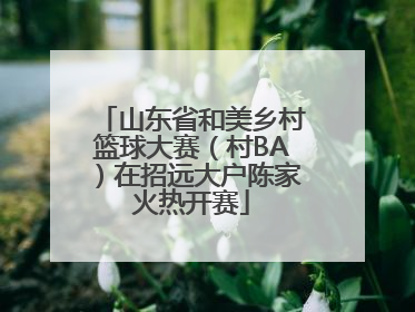 山东省和美乡村篮球大赛（村BA）在招远大户陈家火热开赛