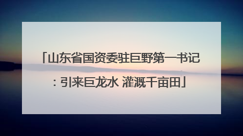 山东省国资委驻巨野第一书记：引来巨龙水 灌溉千亩田