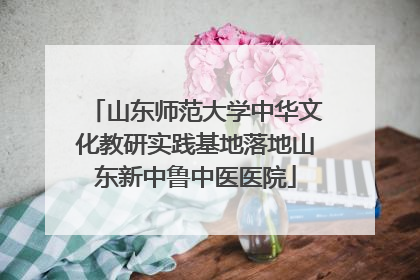 山东师范大学中华文化教研实践基地落地山东新中鲁中医医院