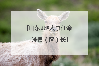 山东2地人事任命，涉县（区）长