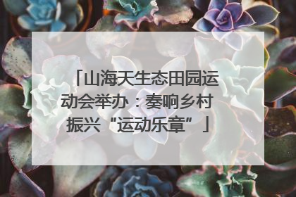 山海天生态田园运动会举办：奏响乡村振兴“运动乐章”