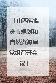 山西省临汾市规划和自然资源局党组召开会议