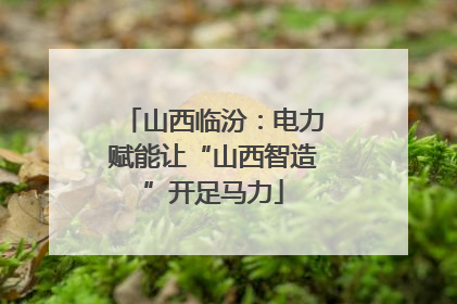 山西临汾：电力赋能让“山西智造”开足马力
