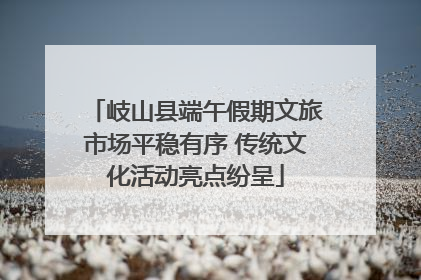 岐山县端午假期文旅市场平稳有序 传统文化活动亮点纷呈