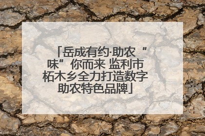 岳成有约·助农“味”你而来 监利市柘木乡全力打造数字助农特色品牌