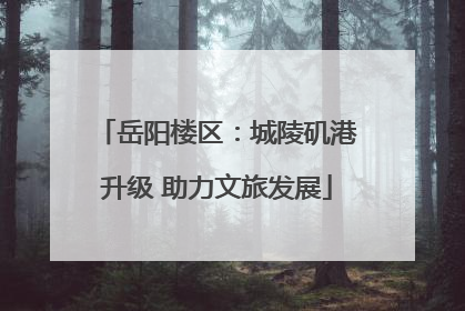 岳阳楼区：城陵矶港升级 助力文旅发展