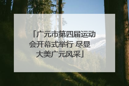 广元市第四届运动会开幕式举行 尽显大美广元风采