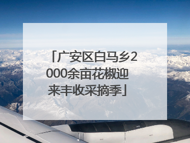 广安区白马乡2000余亩花椒迎来丰收采摘季
