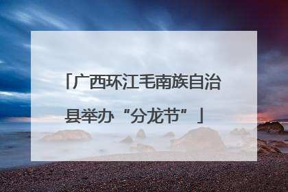 广西环江毛南族自治县举办“分龙节”