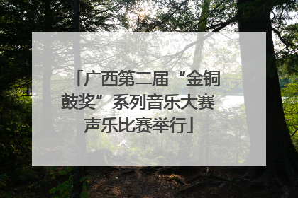 广西第二届“金铜鼓奖”系列音乐大赛声乐比赛举行