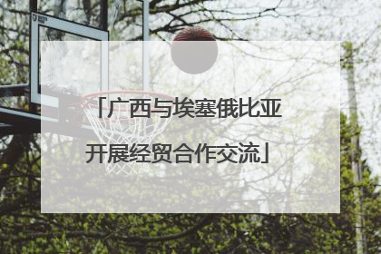 广西与埃塞俄比亚开展经贸合作交流
