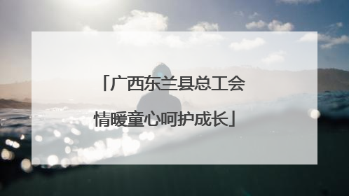 广西东兰县总工会情暖童心呵护成长