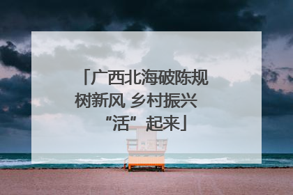 广西北海破陈规树新风 乡村振兴“活”起来