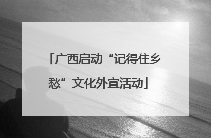 广西启动“记得住乡愁”文化外宣活动