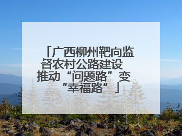 广西柳州靶向监督农村公路建设 推动“问题路”变“幸福路”