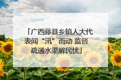 广西藤县乡镇人大代表闻“汛”而动 监督疏通水渠解民忧