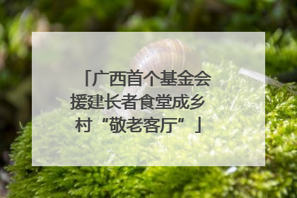 广西首个基金会援建长者食堂成乡村“敬老客厅”