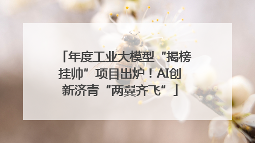 年度工业大模型“揭榜挂帅”项目出炉！AI创新济青“两翼齐飞”