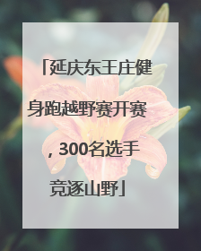 延庆东王庄健身跑越野赛开赛，300名选手竞逐山野