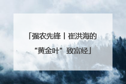 强农先锋丨崔洪海的“黄金叶”致富经