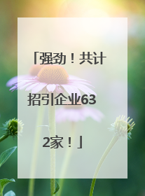 强劲！共计招引企业632家！