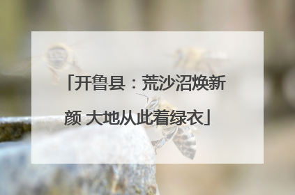开鲁县：荒沙沼焕新颜 大地从此着绿衣