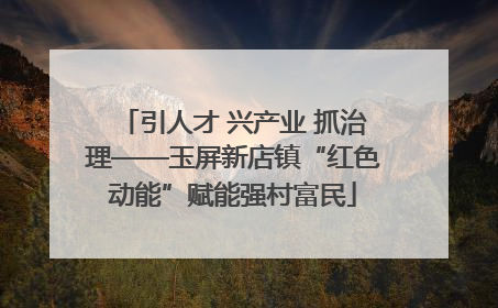 引人才 兴产业 抓治理——玉屏新店镇“红色动能”赋能强村富民