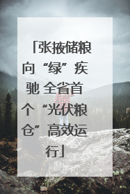 张掖储粮向“绿”疾驰 全省首个“光伏粮仓”高效运行