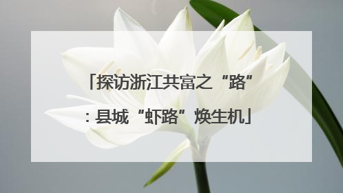 探访浙江共富之“路”：县城“虾路”焕生机