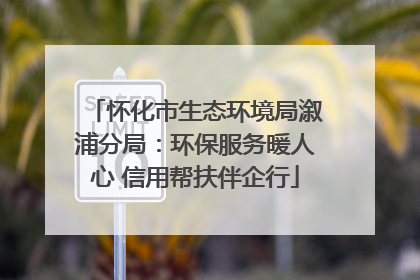 怀化市生态环境局溆浦分局：环保服务暖人心 信用帮扶伴企行