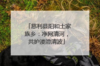 慈利县阳和土家族乡：净网清河，共护溇澧清波