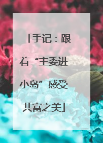 手记：跟着“主委进小岛”感受共富之美