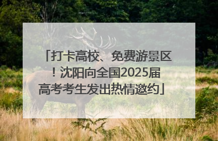 打卡高校、免费游景区！沈阳向全国2025届高考考生发出热情邀约