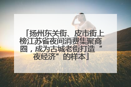 扬州东关街、皮市街上榜江苏省夜间消费集聚商圈，成为古城老街打造“夜经济”的样本