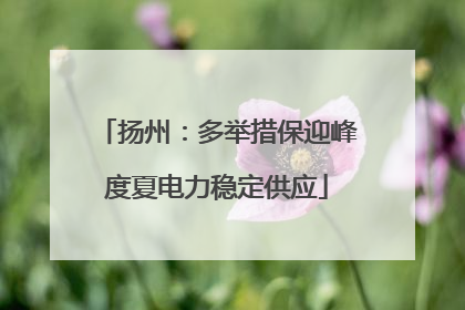 扬州：多举措保迎峰度夏电力稳定供应