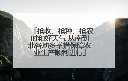抢收、抢种、抢农时和好天气 从南到北各地多举措保障农业生产顺利进行